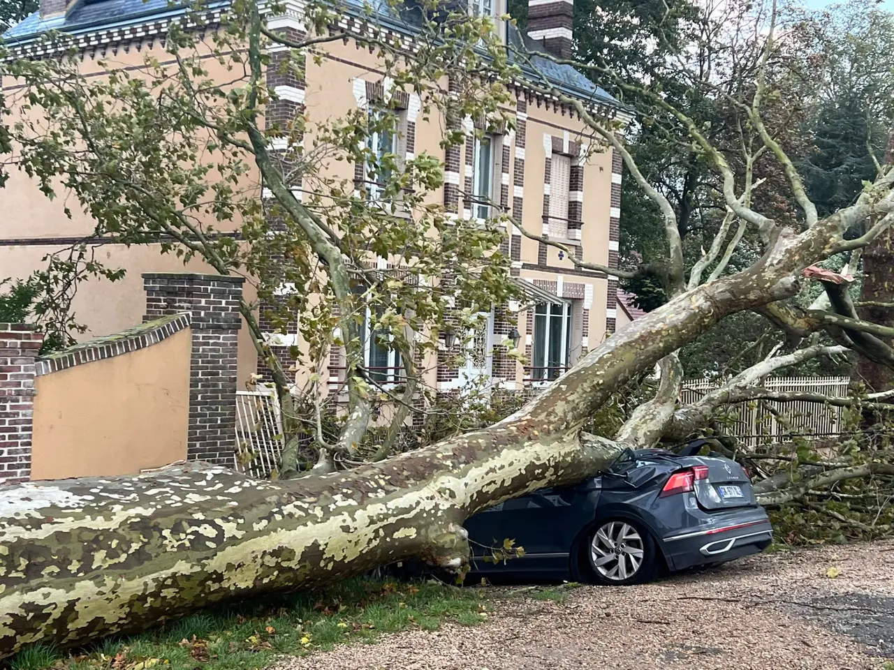 Arbre tombé après tempête – Chartres